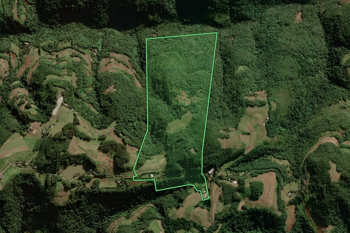 Imagem de satélite do imóvel rural em Sinimbu (RS), com o contorno declarado no CAR desenhado por cima.