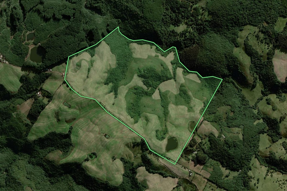 Imagem de satélite do imóvel rural em Sinimbu (RS), com o contorno declarado no CAR desenhado por cima.