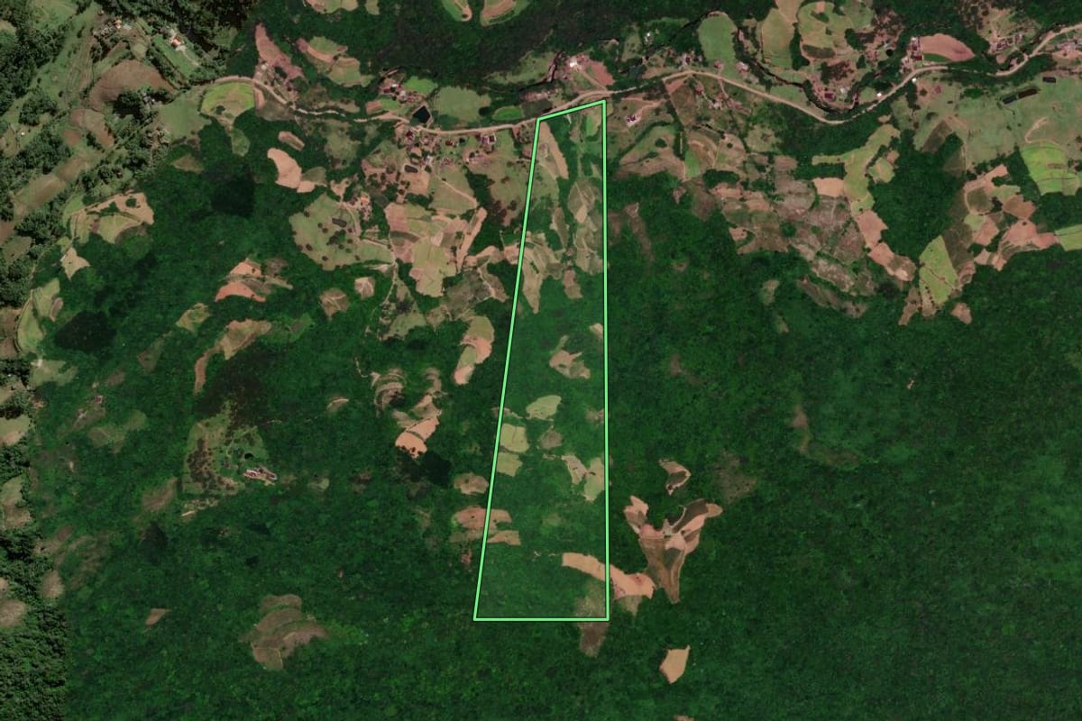 Imagem de satélite do imóvel rural em Sinimbu (RS), com o contorno declarado no CAR desenhado por cima.