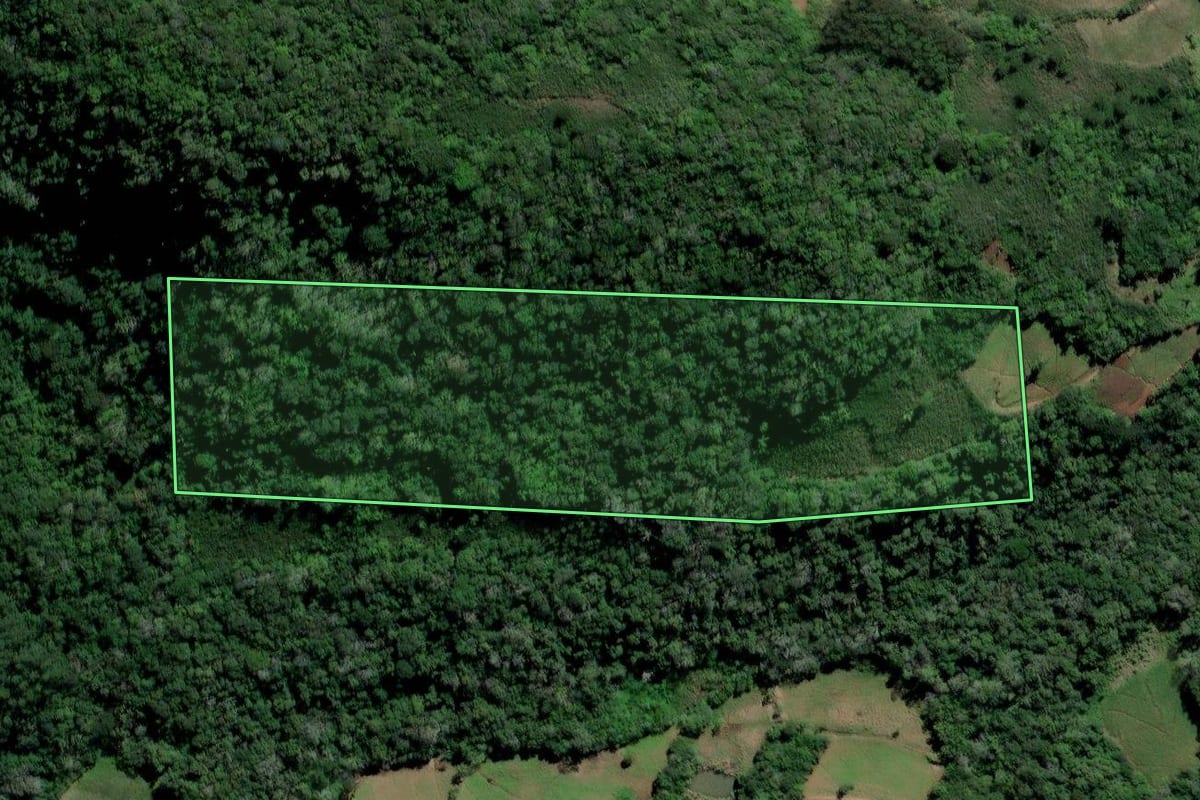 Imagem de satélite do imóvel rural em Sinimbu (RS), com o contorno declarado no CAR desenhado por cima.