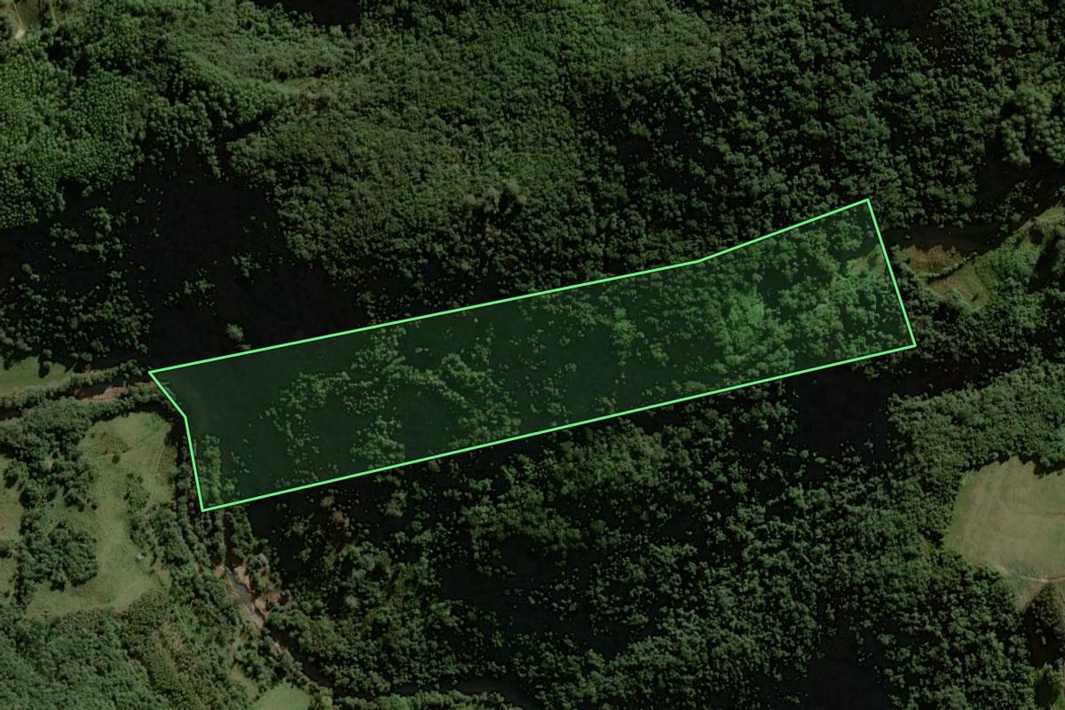 Imagem de satélite do imóvel rural em Sinimbu (RS), com o contorno declarado no CAR desenhado por cima.