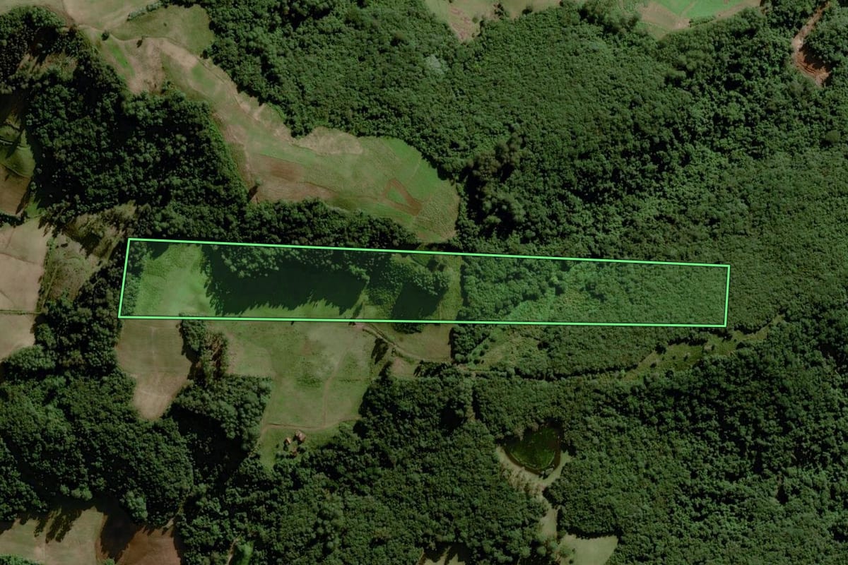 Imagem de satélite do imóvel rural em Sinimbu (RS), com o contorno declarado no CAR desenhado por cima.