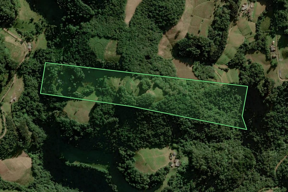 Imagem de satélite do imóvel rural em Sinimbu (RS), com o contorno declarado no CAR desenhado por cima.
