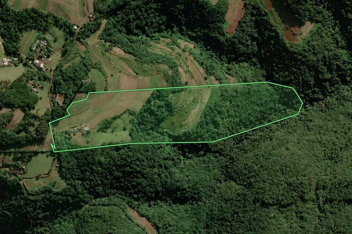 Imagem de satélite do imóvel rural em Sinimbu (RS), com o contorno declarado no CAR desenhado por cima.