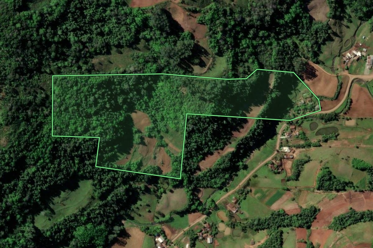 Imagem de satélite do imóvel rural em Sinimbu (RS), com o contorno declarado no CAR desenhado por cima.