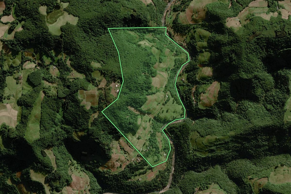 Imagem de satélite do imóvel rural em Sinimbu (RS), com o contorno declarado no CAR desenhado por cima.