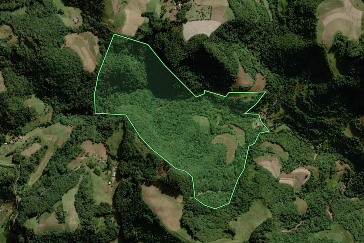 Imagem de satélite do imóvel rural em Sinimbu (RS), com o contorno declarado no CAR desenhado por cima.