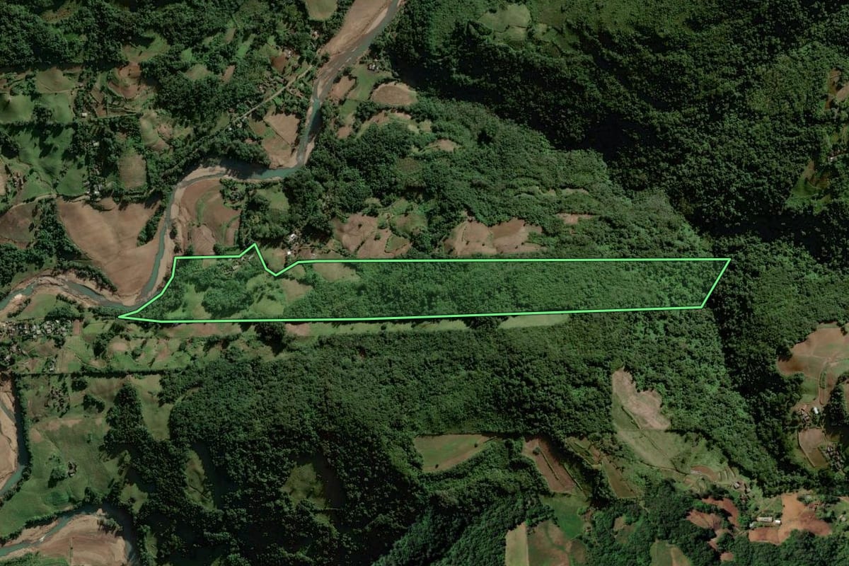Imagem de satélite do imóvel rural em Sinimbu (RS), com o contorno declarado no CAR desenhado por cima.