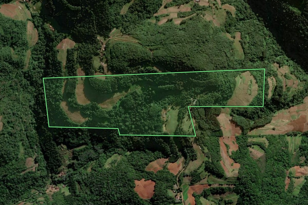 Imagem de satélite do imóvel rural em Sinimbu (RS), com o contorno declarado no CAR desenhado por cima.