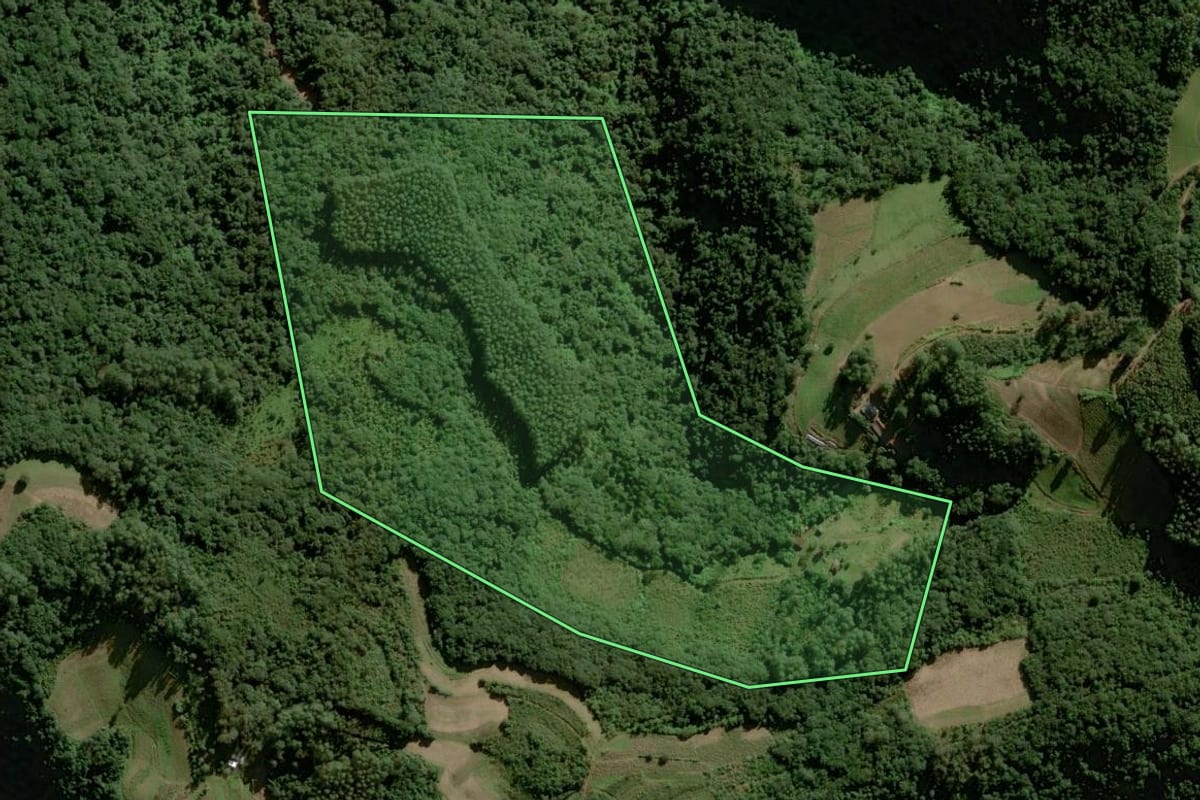 Imagem de satélite do imóvel rural em Sinimbu (RS), com o contorno declarado no CAR desenhado por cima.