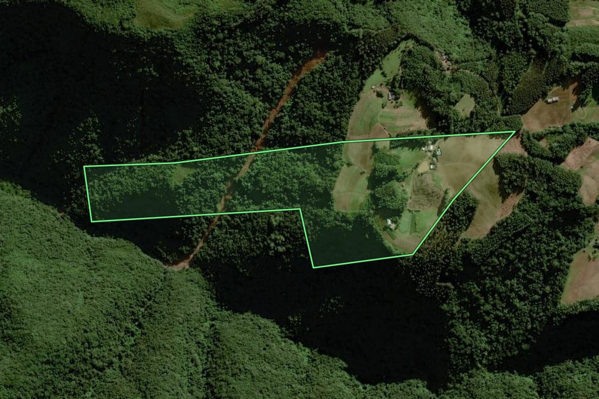 Imagem de satélite do imóvel rural em Sinimbu (RS), com o contorno declarado no CAR desenhado por cima.