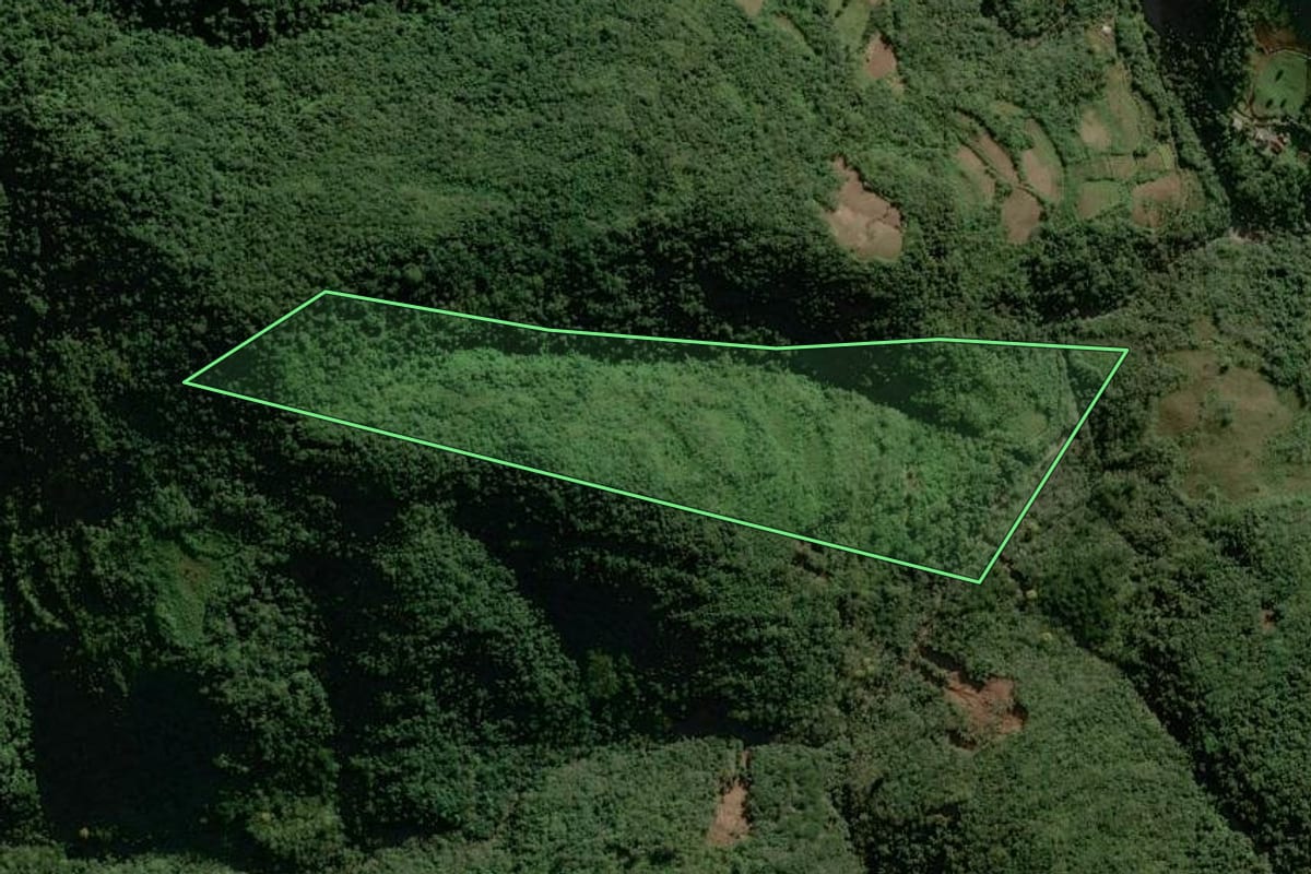 Imagem de satélite do imóvel rural em Sinimbu (RS), com o contorno declarado no CAR desenhado por cima.