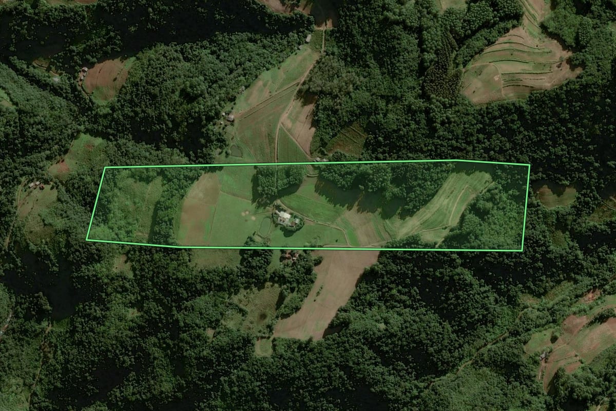 Imagem de satélite do imóvel rural em Sinimbu (RS), com o contorno declarado no CAR desenhado por cima.