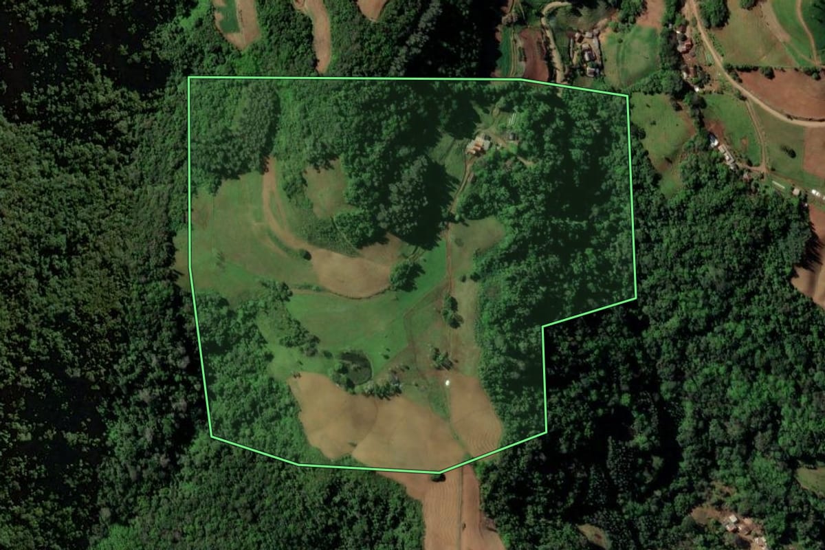 Imagem de satélite do imóvel rural em Sinimbu (RS), com o contorno declarado no CAR desenhado por cima.