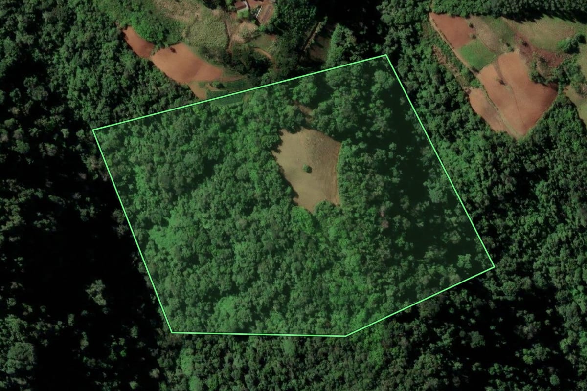 Imagem de satélite do imóvel rural em Sinimbu (RS), com o contorno declarado no CAR desenhado por cima.