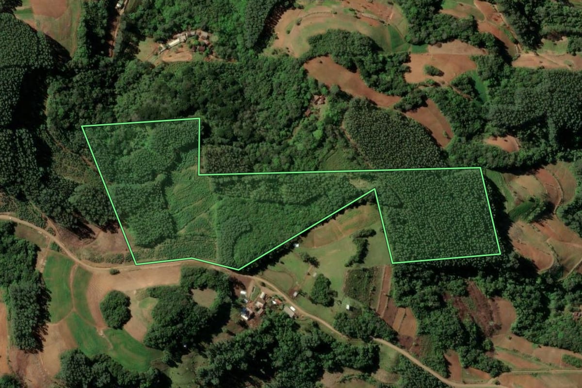 Imagem de satélite do imóvel rural em Sinimbu (RS), com o contorno declarado no CAR desenhado por cima.