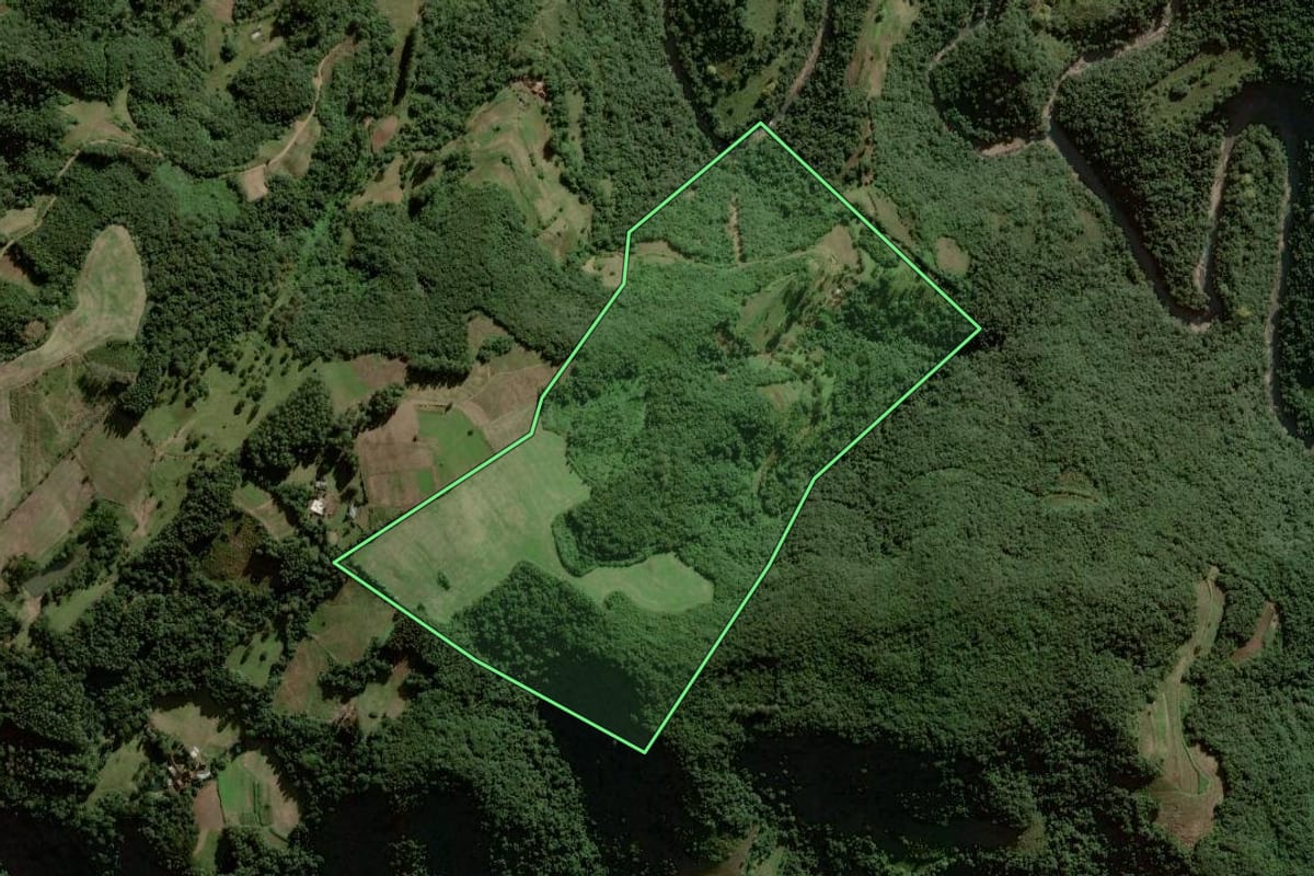 Imagem de satélite do imóvel rural em Sinimbu (RS), com o contorno declarado no CAR desenhado por cima.