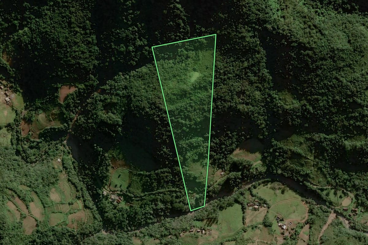 Imagem de satélite do imóvel rural em Sinimbu (RS), com o contorno declarado no CAR desenhado por cima.