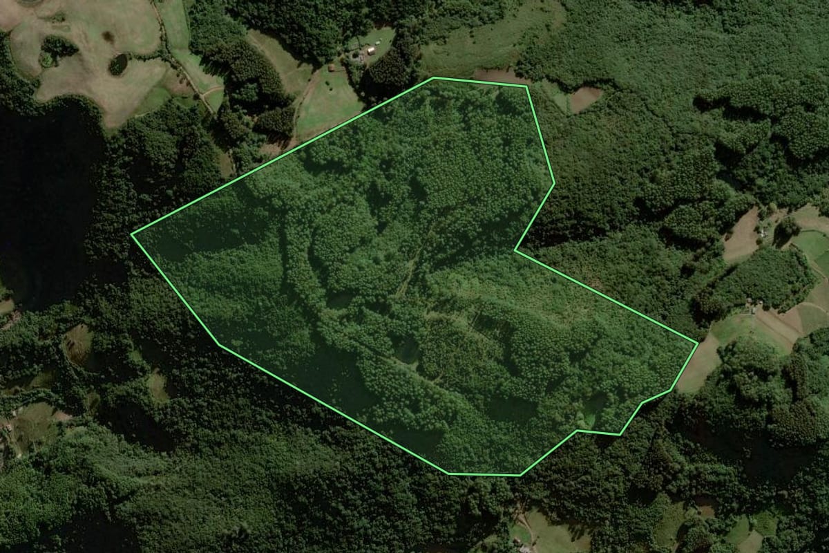 Imagem de satélite do imóvel rural em Sinimbu (RS), com o contorno declarado no CAR desenhado por cima.