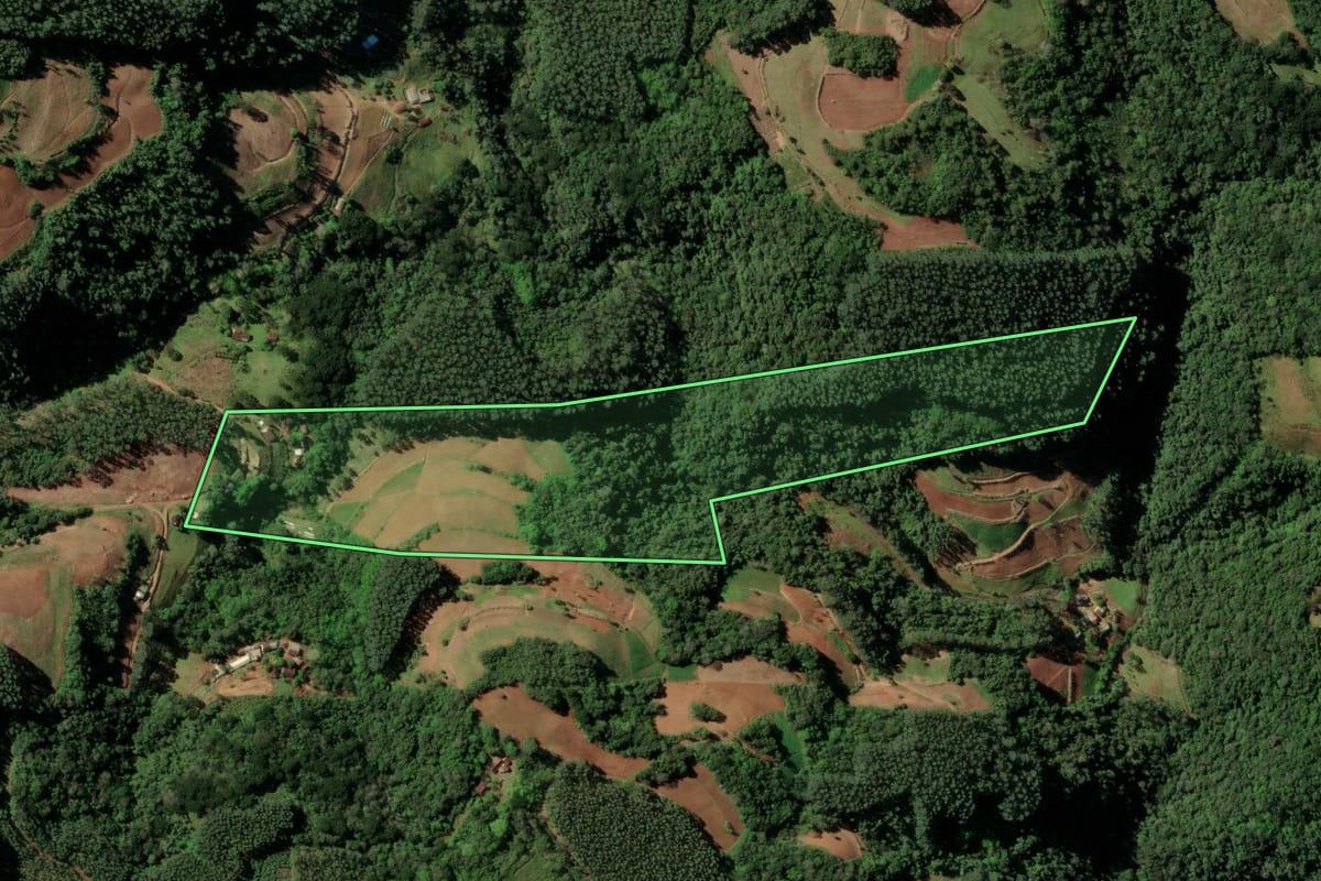 Imagem de satélite do imóvel rural em Sinimbu (RS), com o contorno declarado no CAR desenhado por cima.
