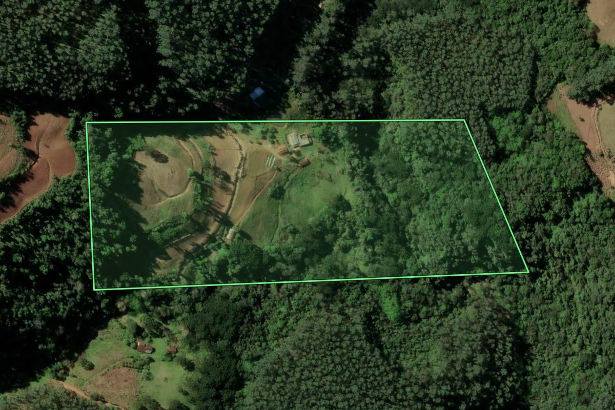 Imagem de satélite do imóvel rural em Sinimbu (RS), com o contorno declarado no CAR desenhado por cima.