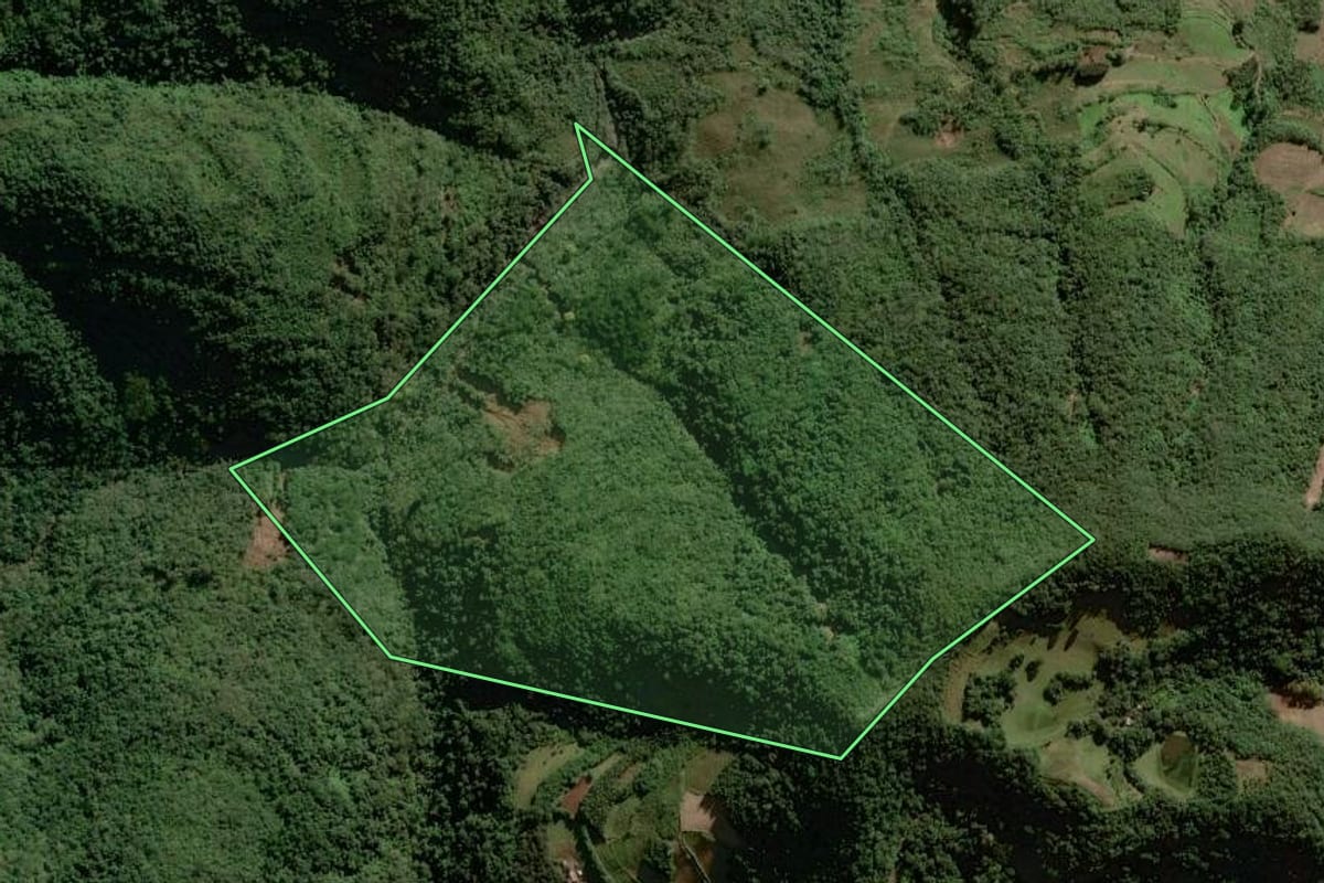 Imagem de satélite do imóvel rural em Sinimbu (RS), com o contorno declarado no CAR desenhado por cima.