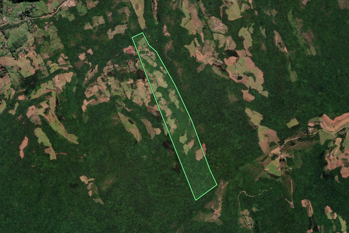 Imagem de satélite do imóvel rural em Sinimbu (RS), com o contorno declarado no CAR desenhado por cima.