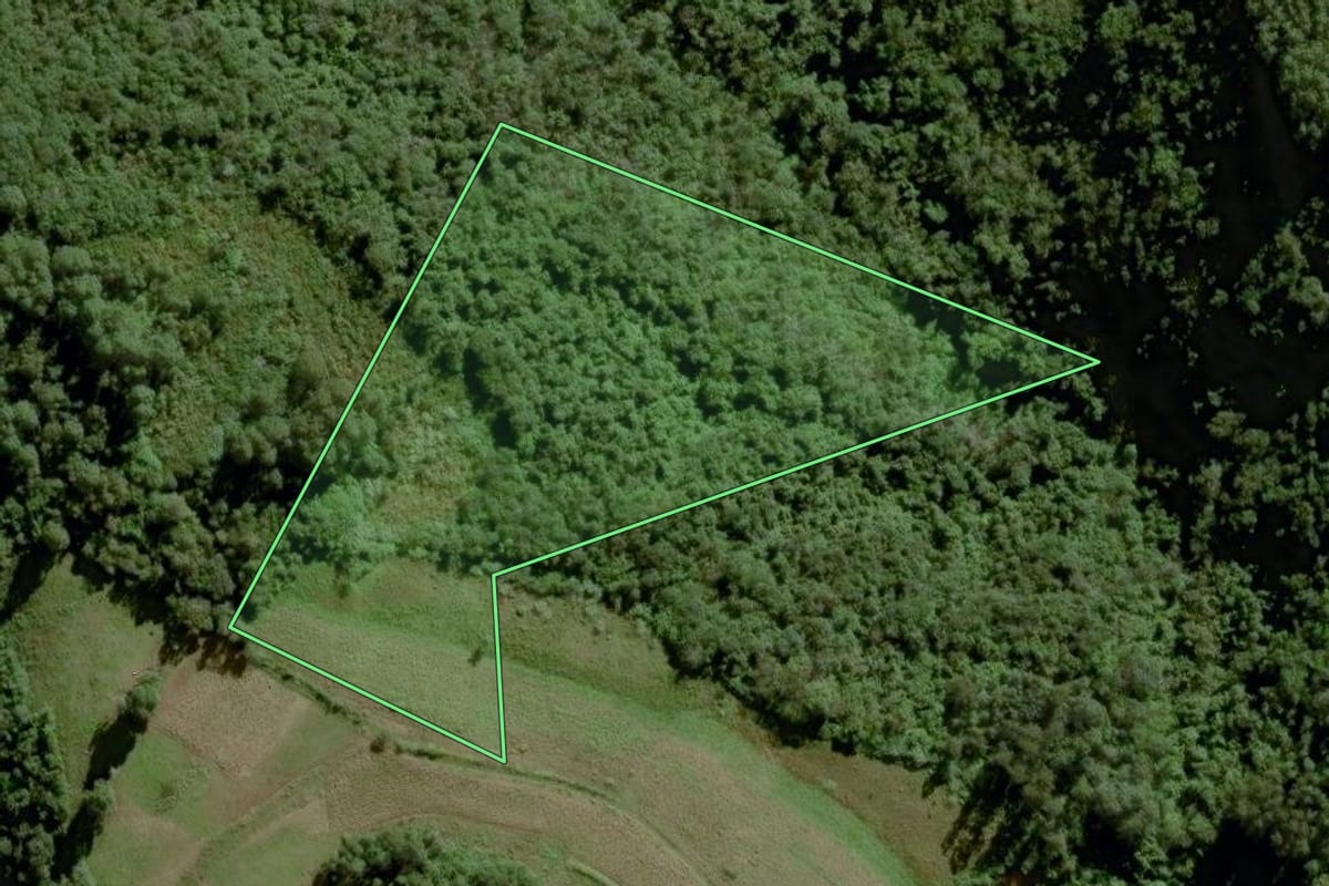 Imagem de satélite do imóvel rural em Sinimbu (RS), com o contorno declarado no CAR desenhado por cima.