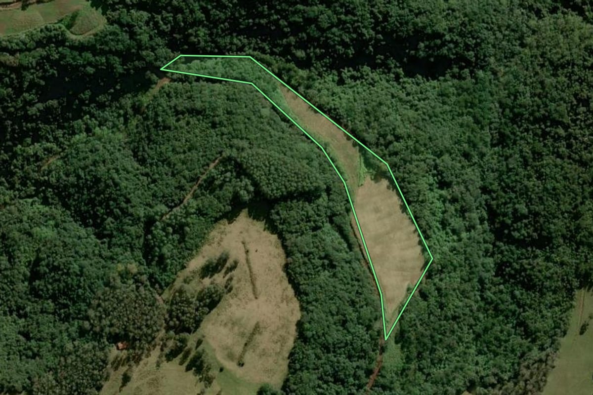 Imagem de satélite do imóvel rural em Sinimbu (RS), com o contorno declarado no CAR desenhado por cima.