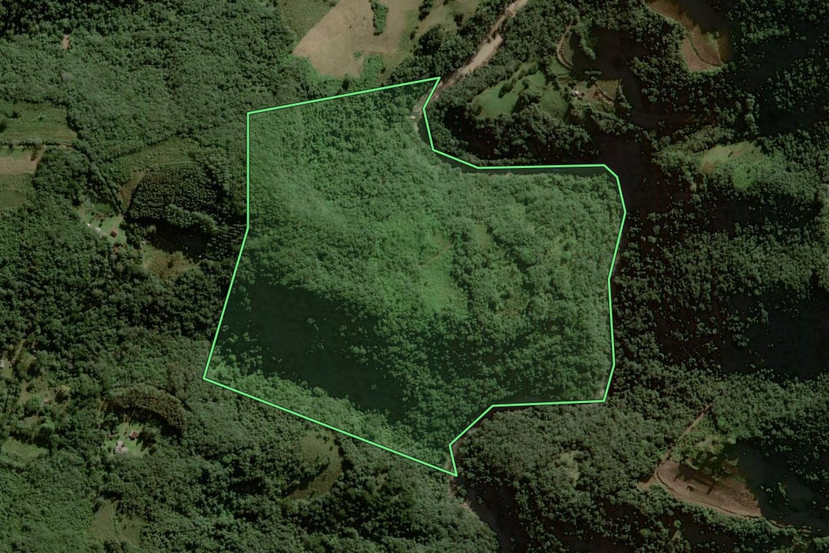 Imagem de satélite do imóvel rural em Sinimbu (RS), com o contorno declarado no CAR desenhado por cima.