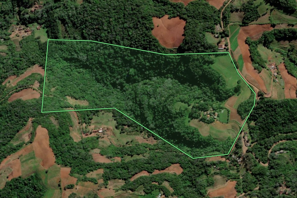 Imagem de satélite do imóvel rural em Sinimbu (RS), com o contorno declarado no CAR desenhado por cima.