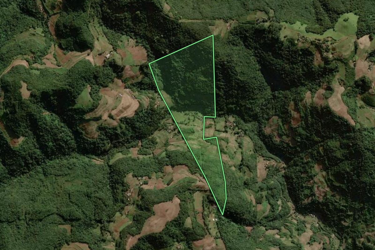 Imagem de satélite do imóvel rural em Sinimbu (RS), com o contorno declarado no CAR desenhado por cima.