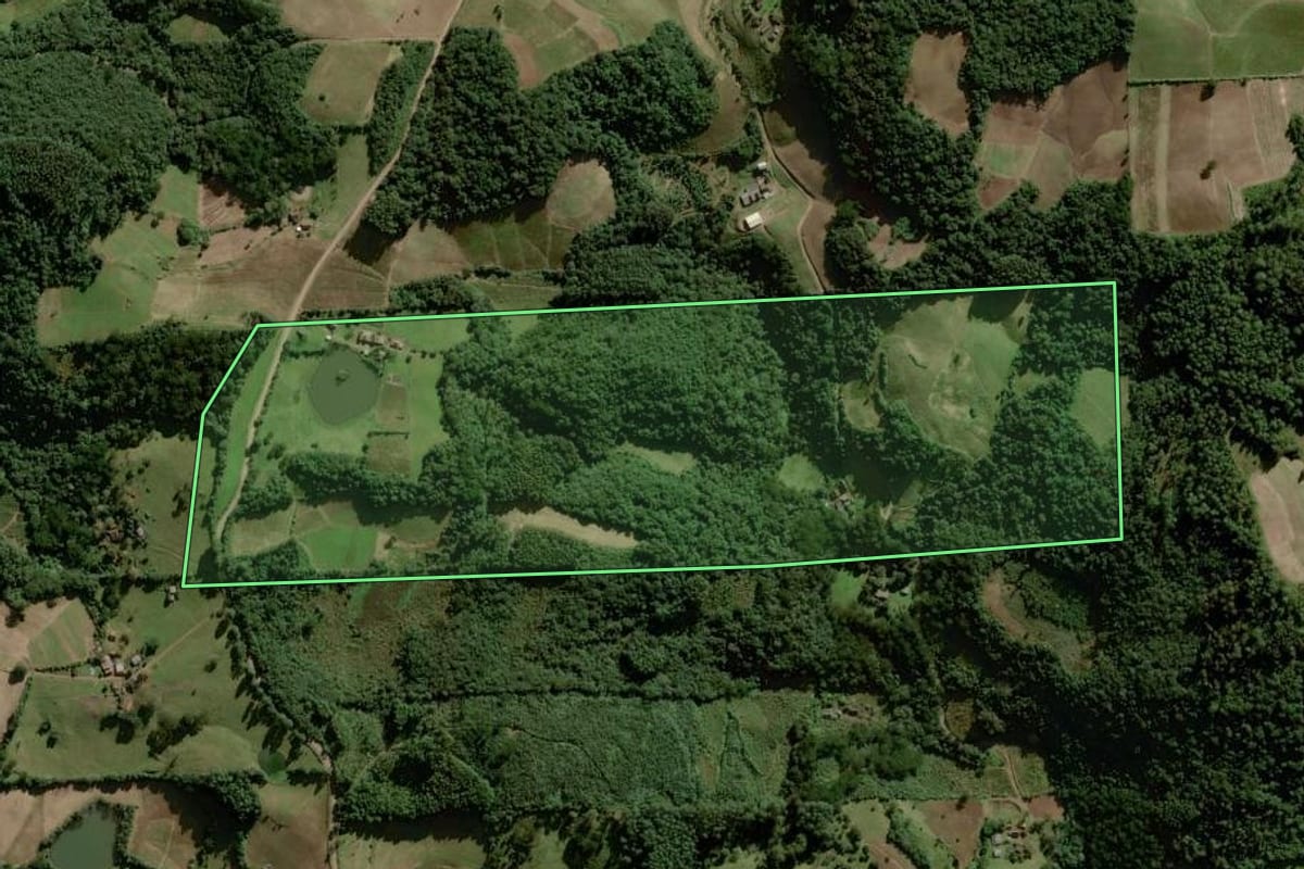 Imagem de satélite do imóvel rural em Sinimbu (RS), com o contorno declarado no CAR desenhado por cima.