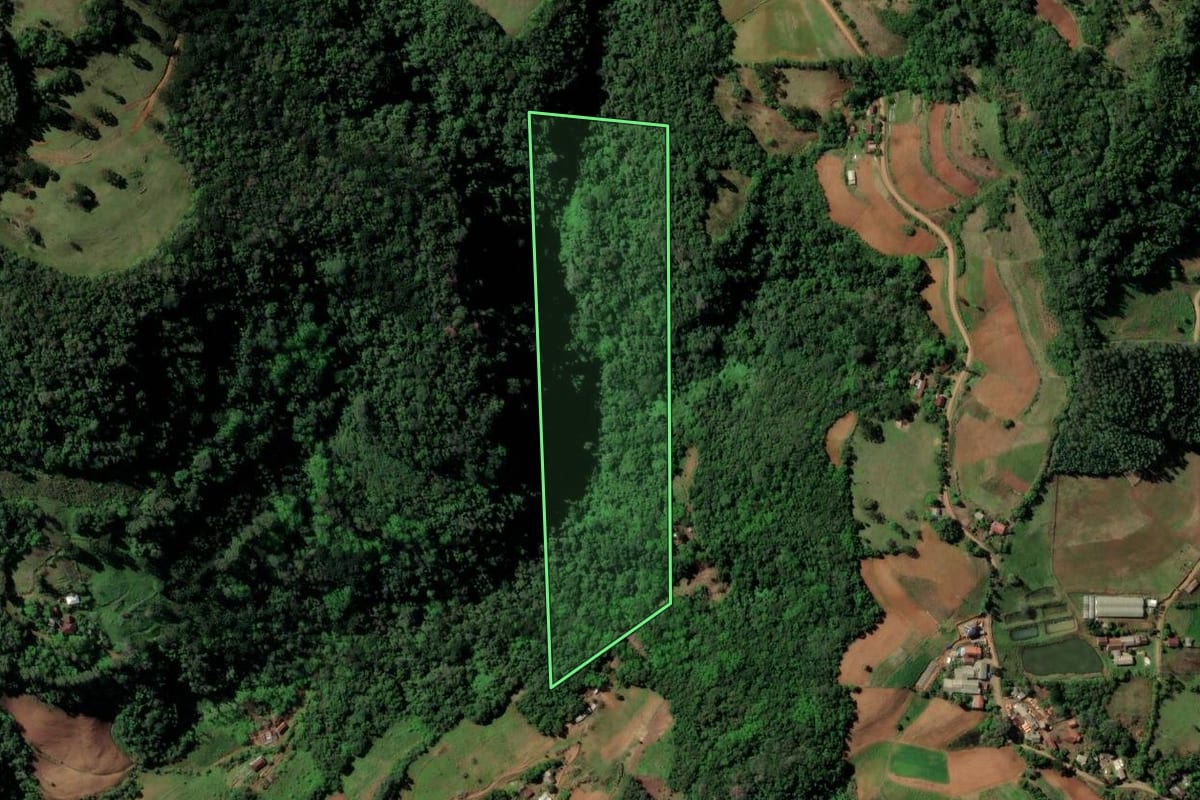 Imagem de satélite do imóvel rural em Sinimbu (RS), com o contorno declarado no CAR desenhado por cima.