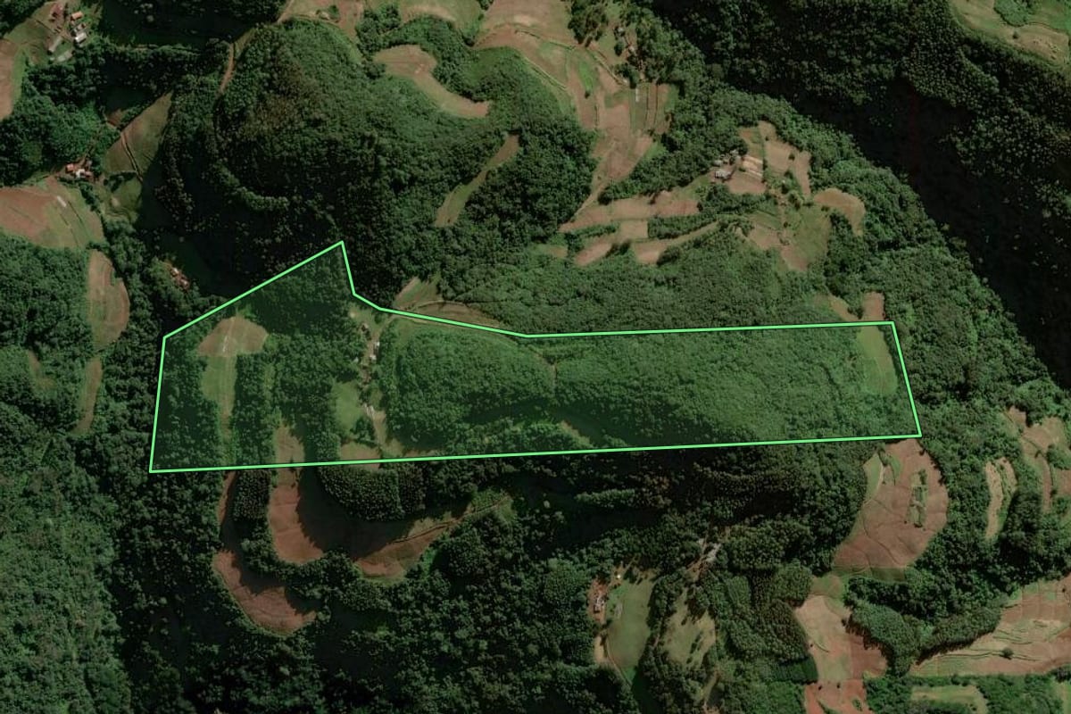 Imagem de satélite do imóvel rural em Sinimbu (RS), com o contorno declarado no CAR desenhado por cima.