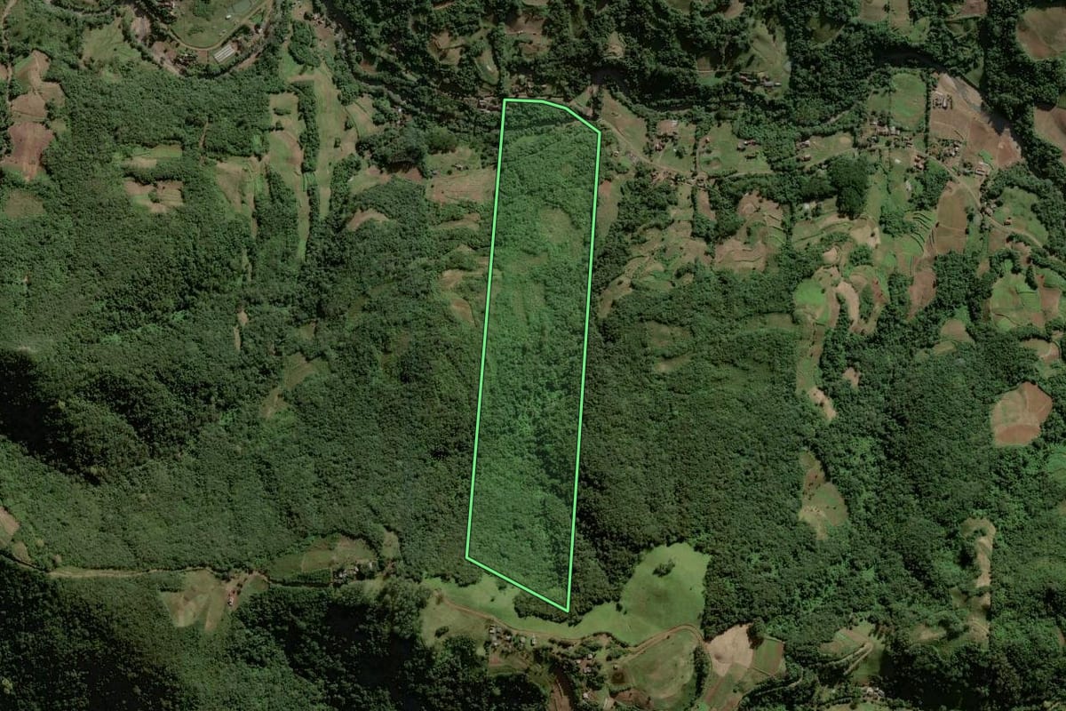 Imagem de satélite do imóvel rural em Sinimbu (RS), com o contorno declarado no CAR desenhado por cima.
