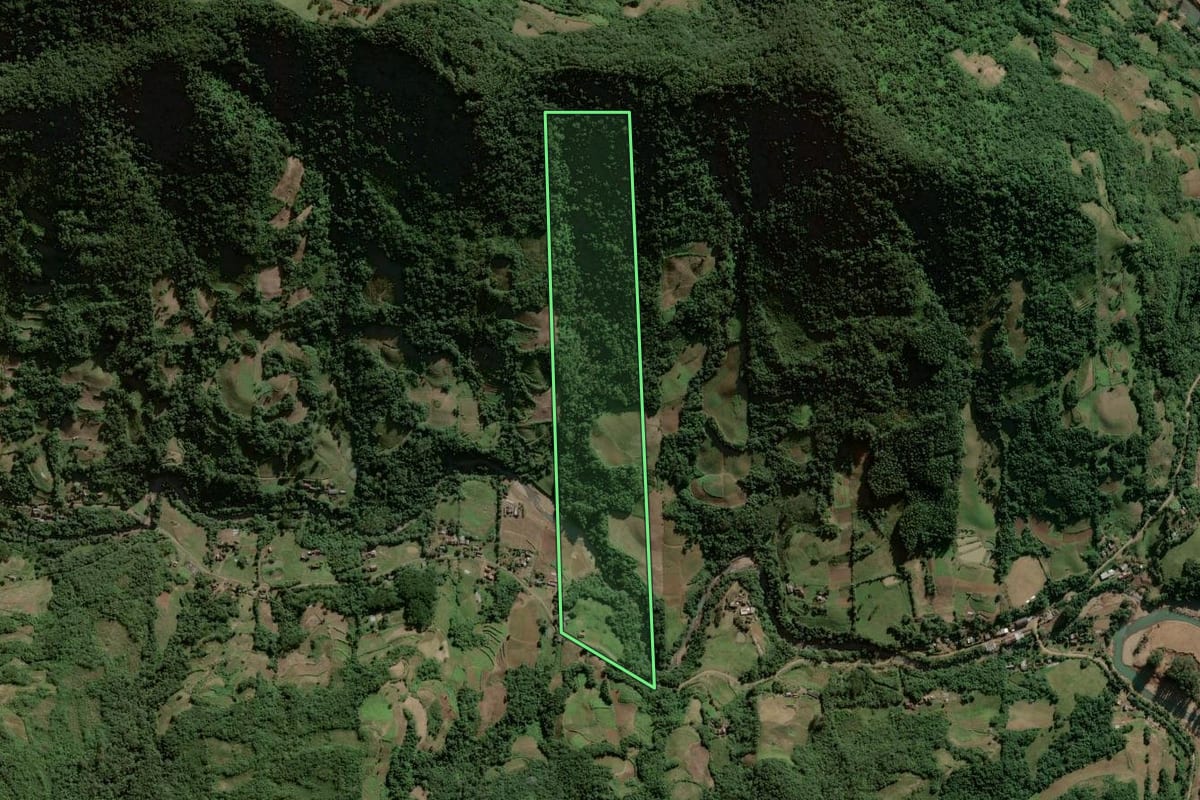 Imagem de satélite do imóvel rural em Sinimbu (RS), com o contorno declarado no CAR desenhado por cima.