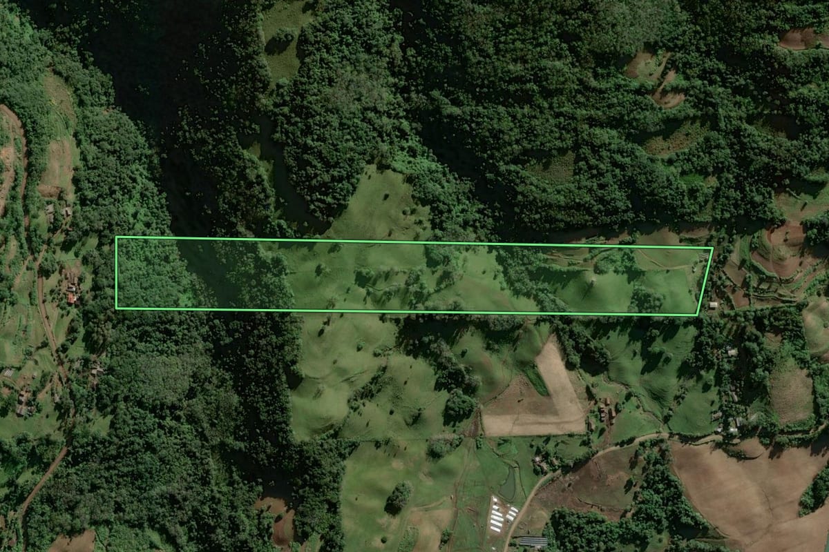 Imagem de satélite do imóvel rural em Sinimbu (RS), com o contorno declarado no CAR desenhado por cima.