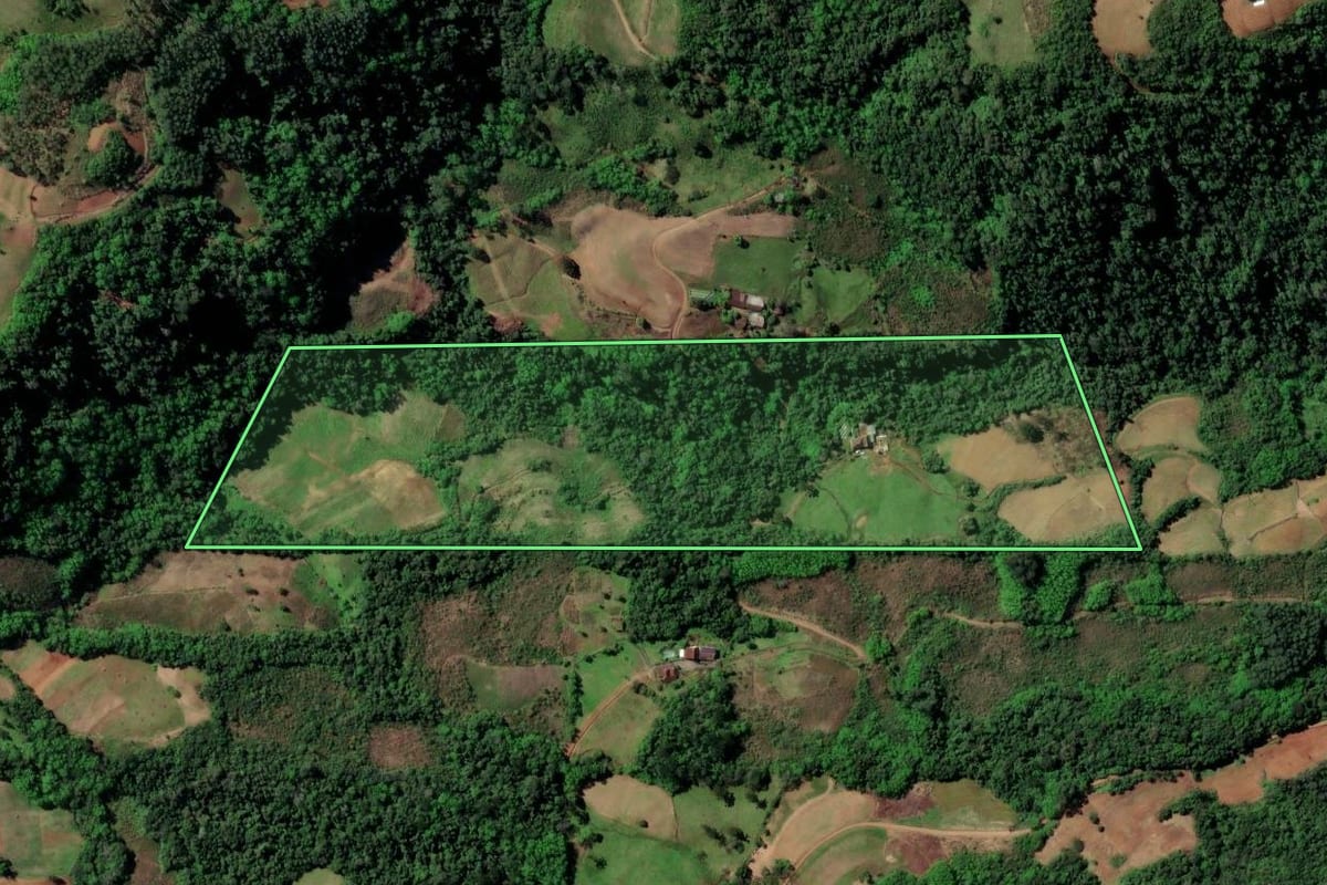 Imagem de satélite do imóvel rural em Sinimbu (RS), com o contorno declarado no CAR desenhado por cima.