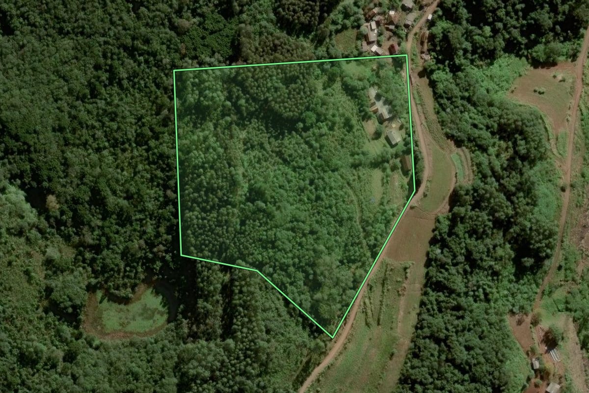 Imagem de satélite do imóvel rural em Sinimbu (RS), com o contorno declarado no CAR desenhado por cima.