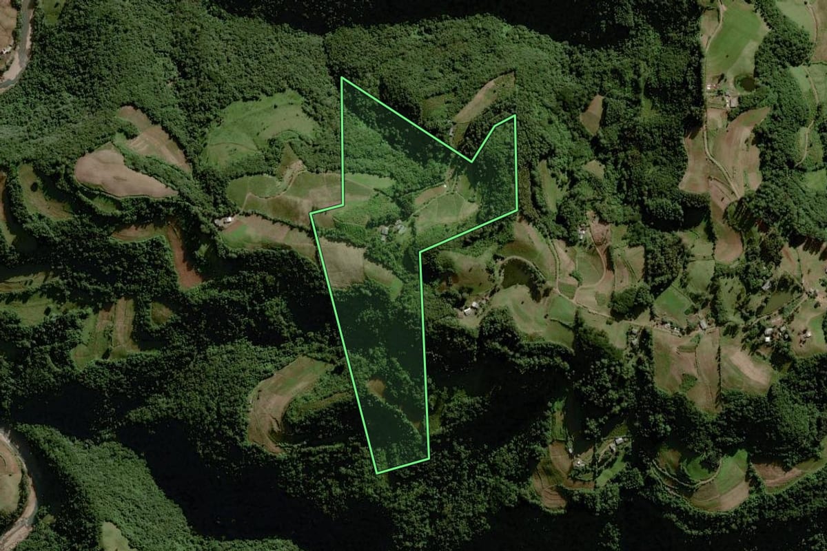 Imagem de satélite do imóvel rural em Sinimbu (RS), com o contorno declarado no CAR desenhado por cima.