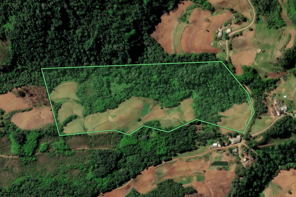 Imagem de satélite do imóvel rural em Sinimbu (RS), com o contorno declarado no CAR desenhado por cima.