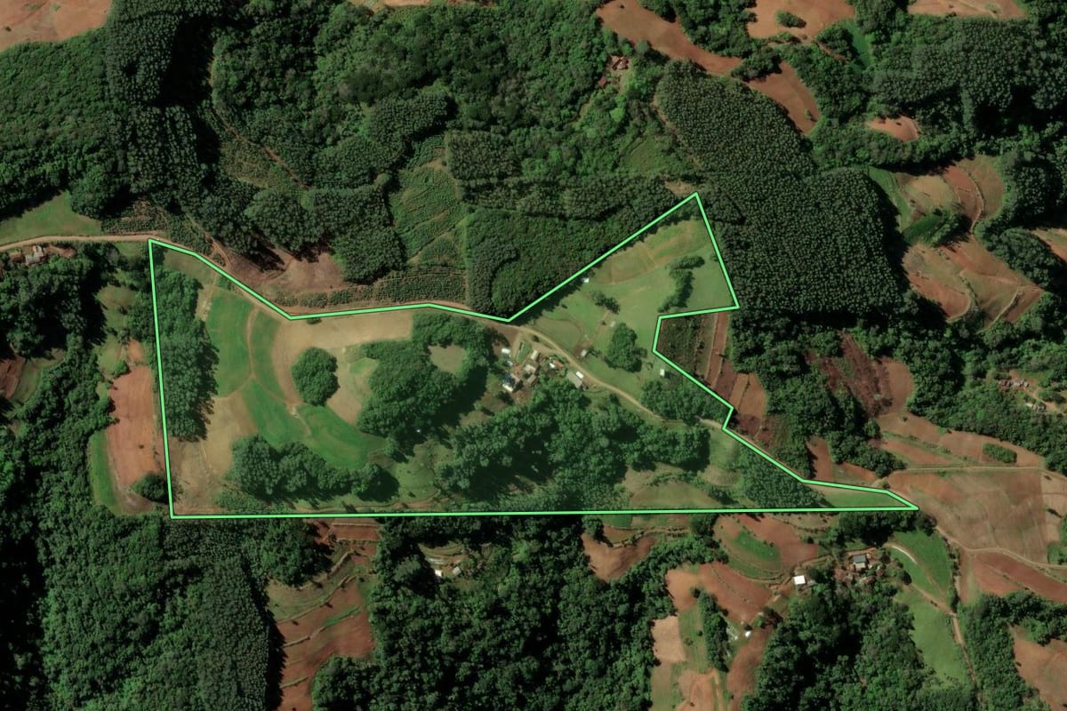 Imagem de satélite do imóvel rural em Sinimbu (RS), com o contorno declarado no CAR desenhado por cima.