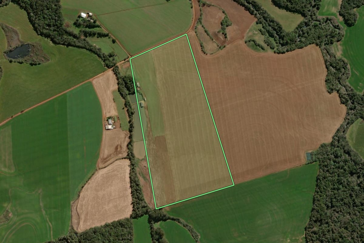 Imagem de satélite do imóvel rural em Soledade (RS), com o contorno declarado no CAR desenhado por cima.