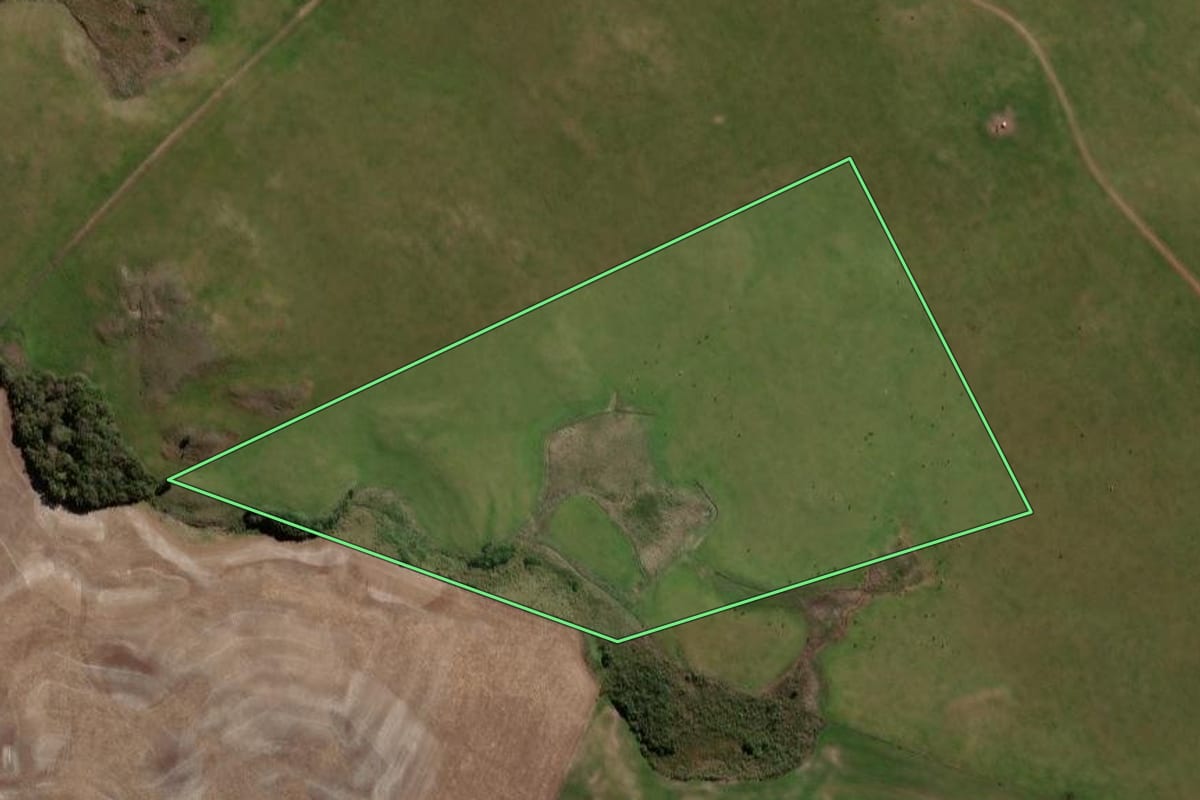 Imagem de satélite do imóvel rural em Soledade (RS), com o contorno declarado no CAR desenhado por cima.
