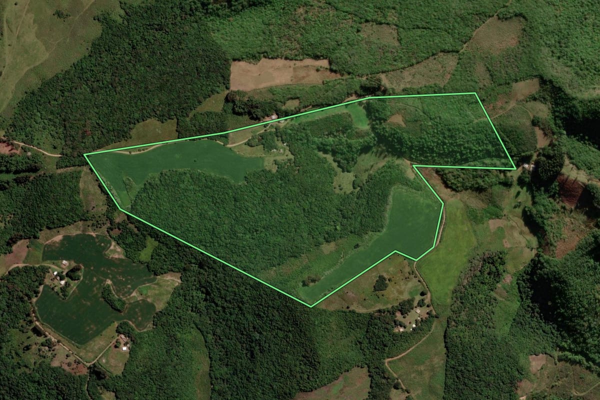Imagem de satélite do imóvel rural em Soledade (RS), com o contorno declarado no CAR desenhado por cima.