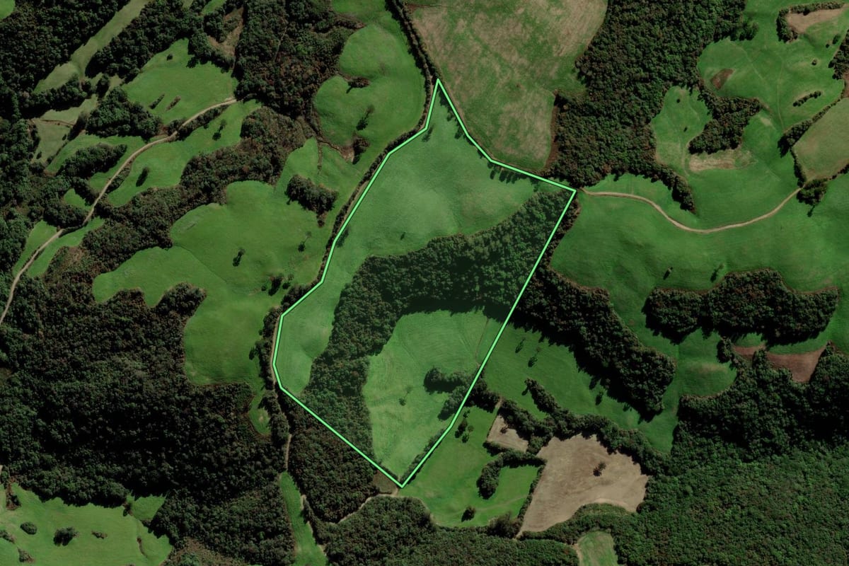 Imagem de satélite do imóvel rural em Soledade (RS), com o contorno declarado no CAR desenhado por cima.