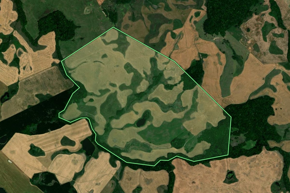 Imagem de satélite do imóvel rural em Soledade (RS), com o contorno declarado no CAR desenhado por cima.