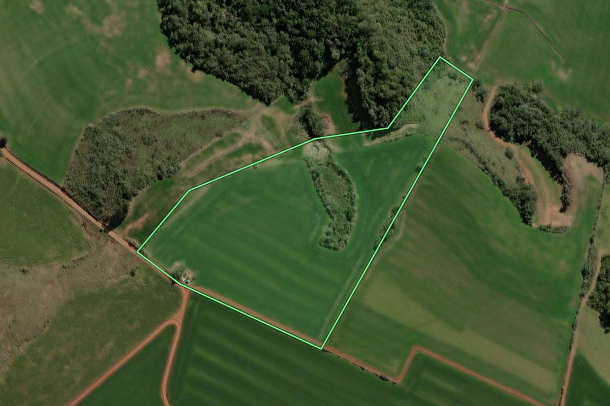 Imagem de satélite do imóvel rural em Soledade (RS), com o contorno declarado no CAR desenhado por cima.