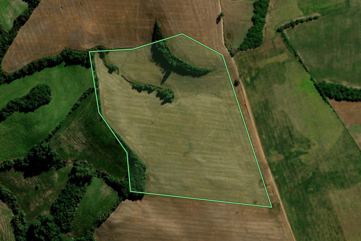 Imagem de satélite do imóvel rural em Soledade (RS), com o contorno declarado no CAR desenhado por cima.